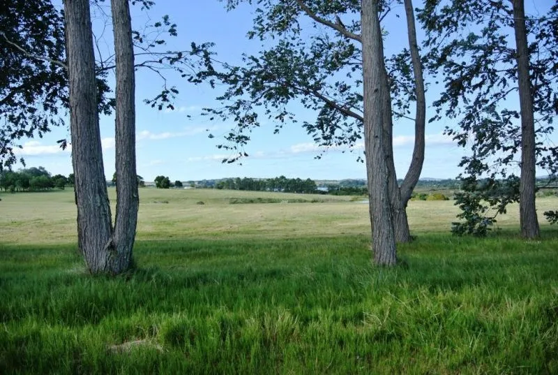Venta Lote Laguna de los Cisnes- Punta del Este — foto 1