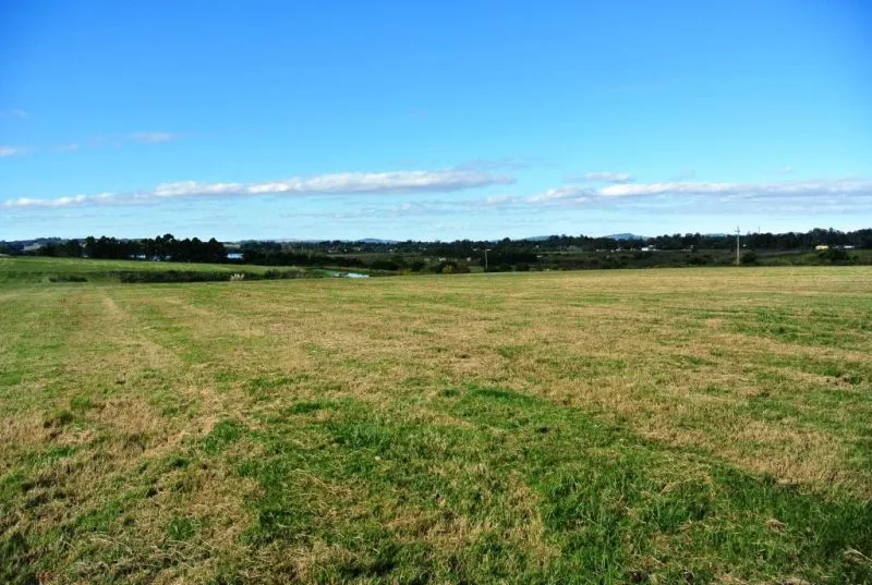 Venta Lote Laguna de los Cisnes- Punta del Este — foto 3