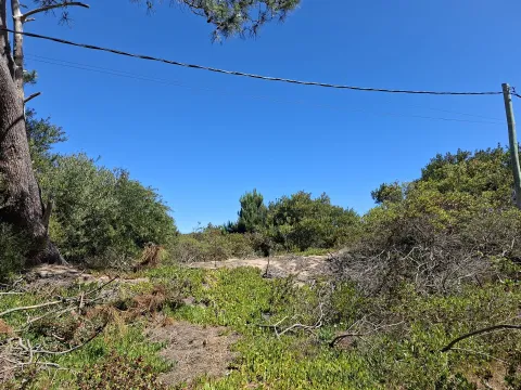 Venta lote en Chihuahua- Punta Ballena