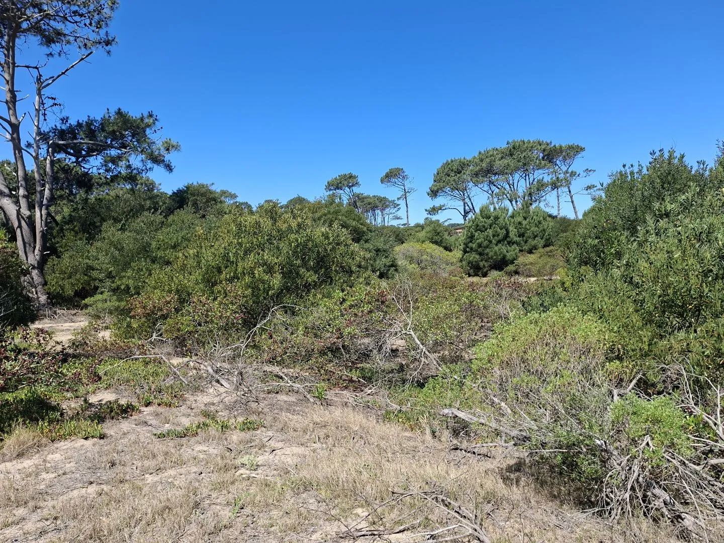 Venta lote en Chihuahua- Punta Ballena — foto 2