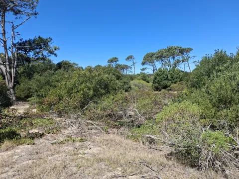 Venta lote en Chihuahua- Punta Ballena — foto 2