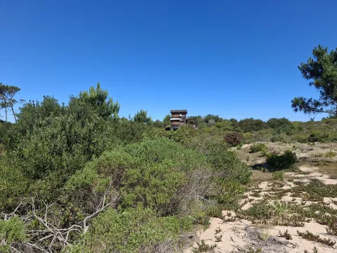 Venta lote en Chihuahua- Punta Ballena — foto 3