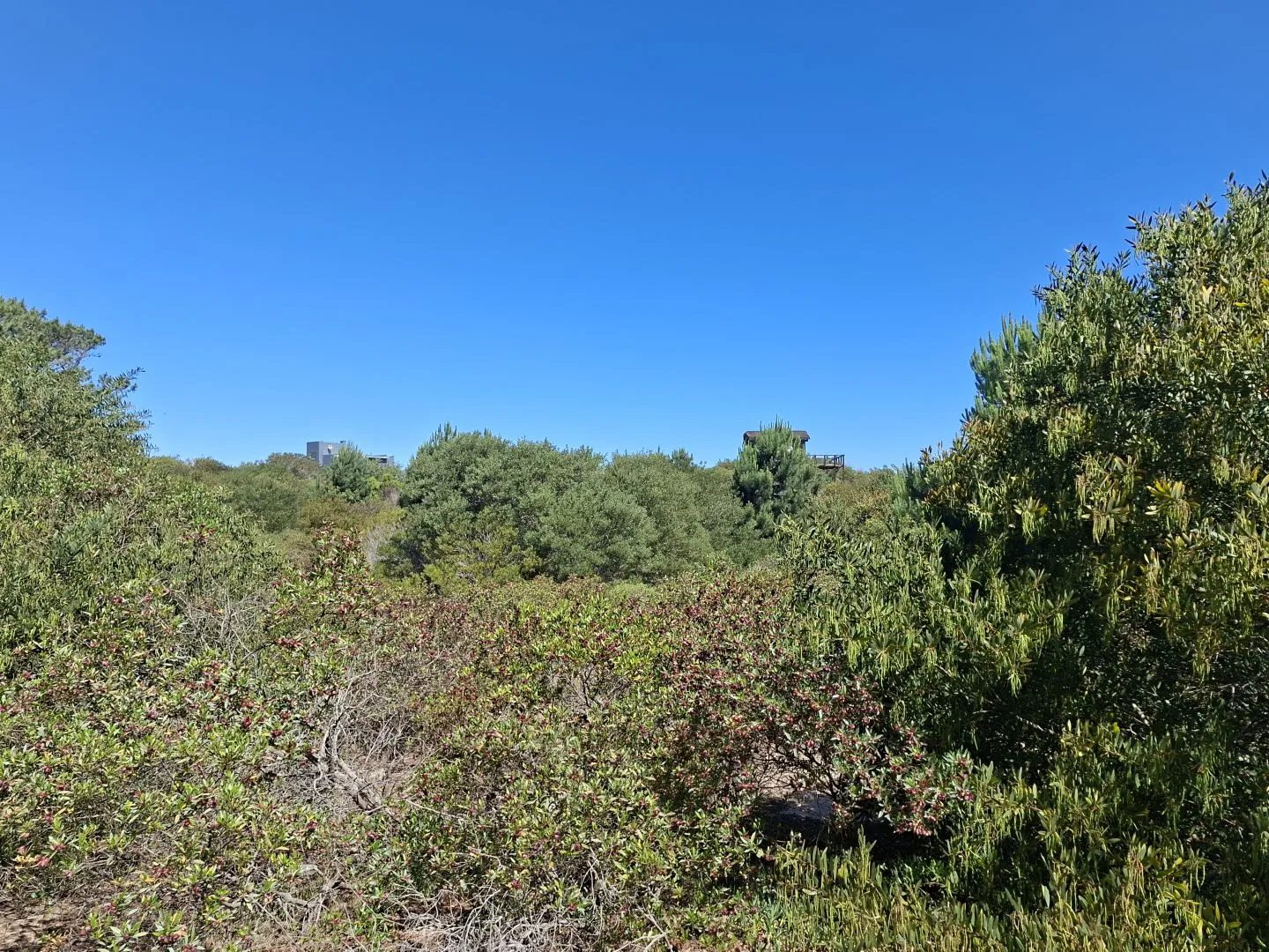 Venta lote en Chihuahua- Punta Ballena — foto 4