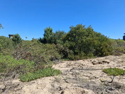 Venta lote en Chihuahua- Punta Ballena — foto 5
