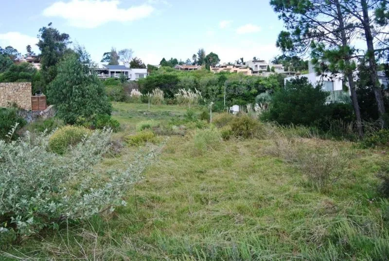 Venta lote con vista Panorámica  - Punta Ballena — foto 10