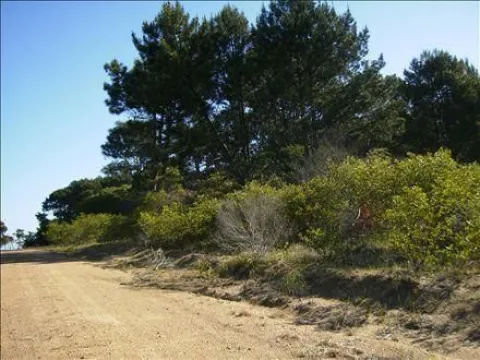 Venta dos lotes linderos al Arroyo y calle - Chihuahua