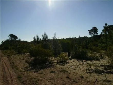 Venta lote Arroyo El Potrero - Punta Ballena — foto 2