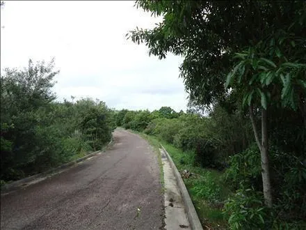 Venta 6 padrones linderos- Punta Ballena — foto 3
