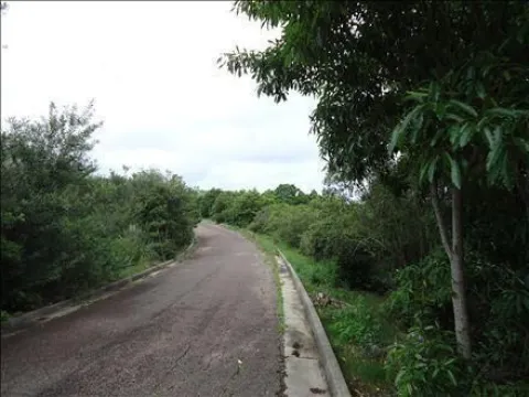 Venta 6 padrones linderos- Punta Ballena — foto 3