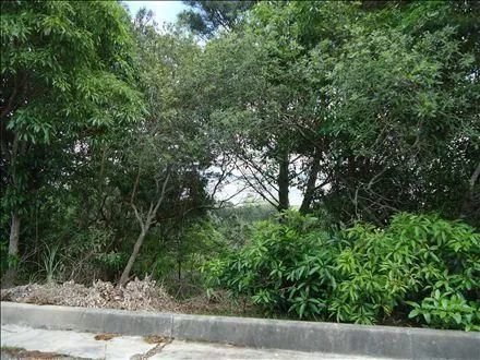 Venta 6 padrones linderos- Punta Ballena — foto 5