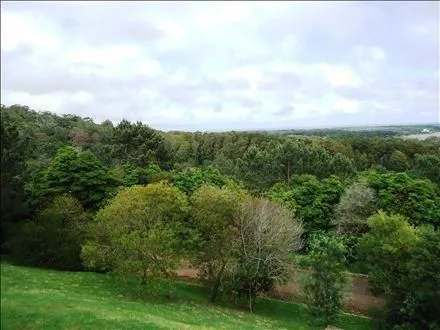 Venta 6 padrones linderos- Punta Ballena — foto 6