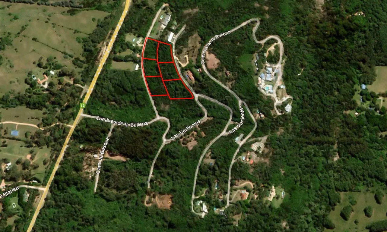 Venta 6 padrones linderos- Punta Ballena — foto 7