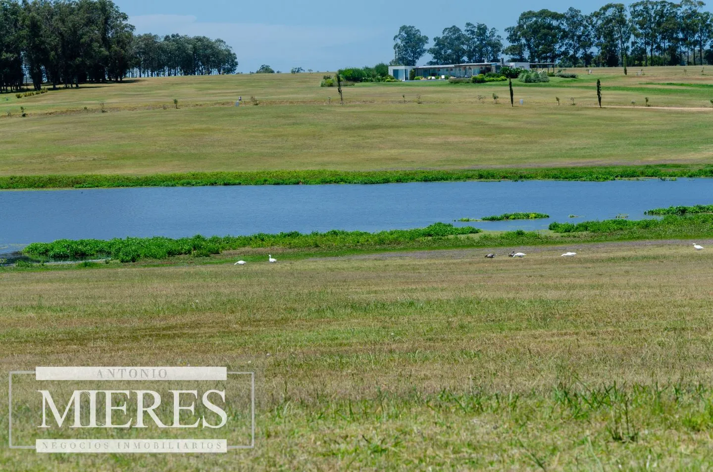 Venta lote en barrio Laguna de los Cisnes — foto 5