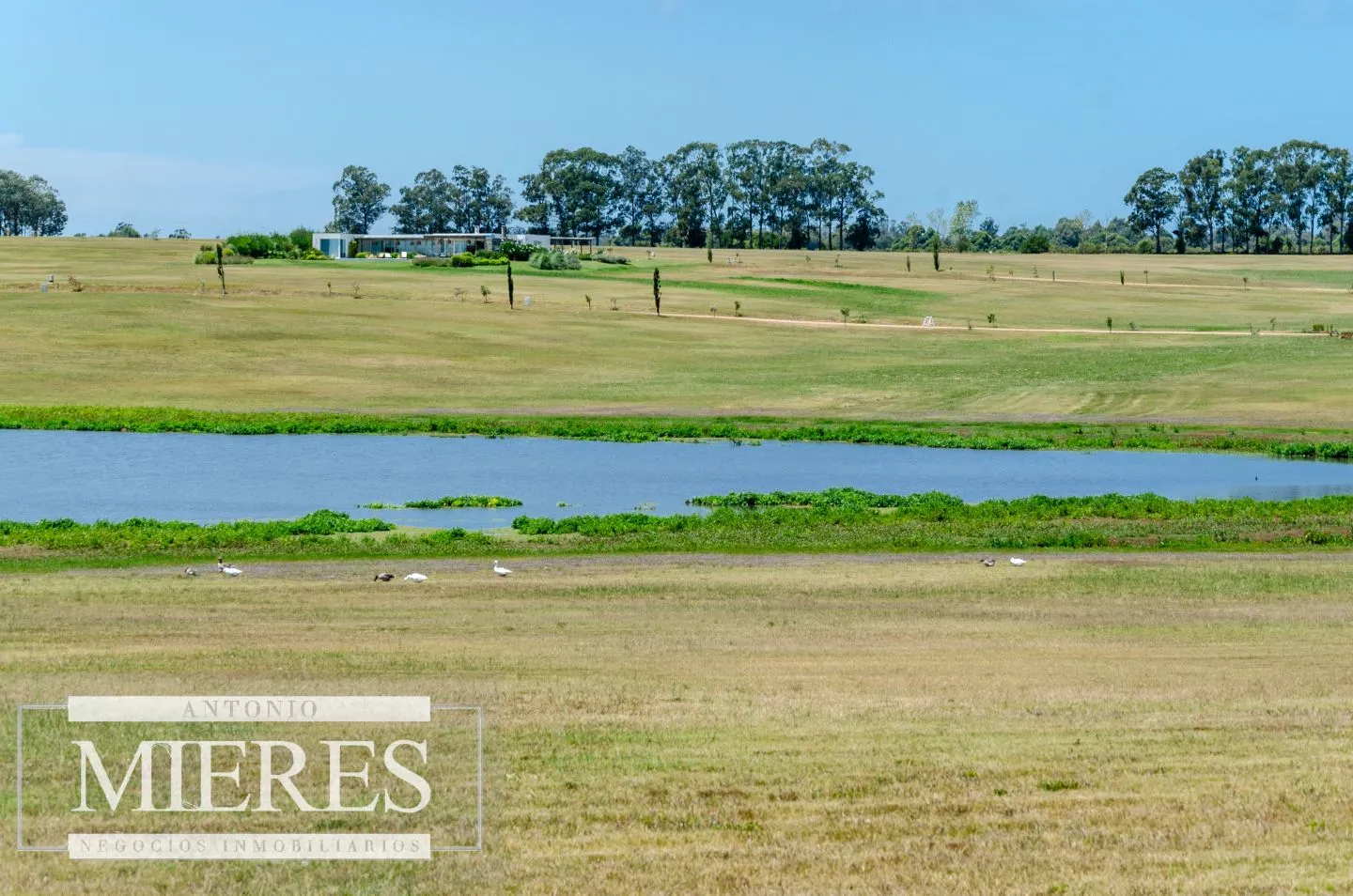 Venta lote en barrio Laguna de los Cisnes — foto 10