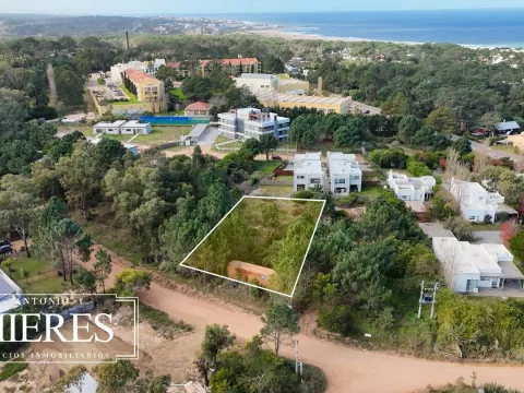 Lote | Iris