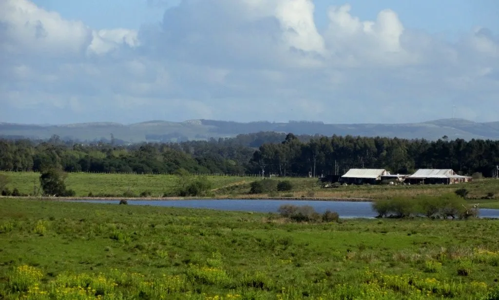 VENTA 52 HECTAREAS ZONA RURAL LA BARRA APTA P/FRACCIONAMIENT — foto 2
