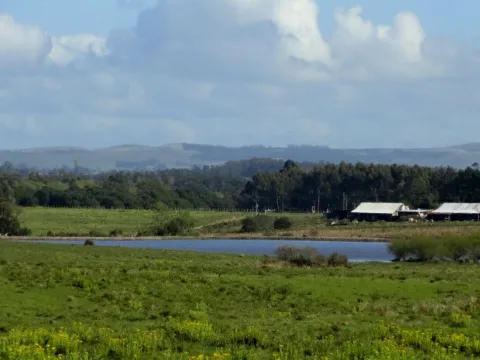 VENTA 52 HECTAREAS ZONA RURAL LA BARRA APTA P/FRACCIONAMIENT — foto 2