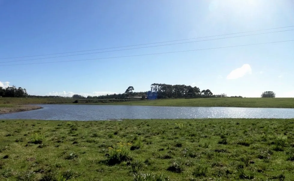 VENTA 52 HECTAREAS ZONA RURAL LA BARRA APTA P/FRACCIONAMIENT — foto 3