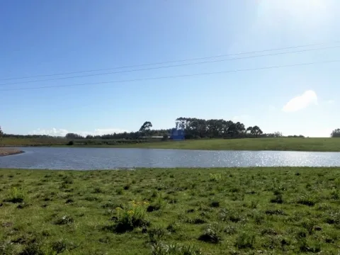 VENTA 52 HECTAREAS ZONA RURAL LA BARRA APTA P/FRACCIONAMIENT — foto 3