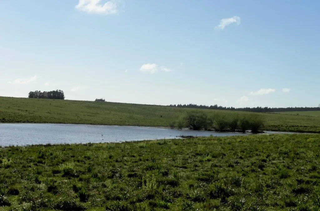 VENTA 52 HECTAREAS ZONA RURAL LA BARRA APTA P/FRACCIONAMIENT — foto 4