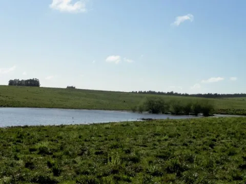 VENTA 52 HECTAREAS ZONA RURAL LA BARRA APTA P/FRACCIONAMIENT — foto 4