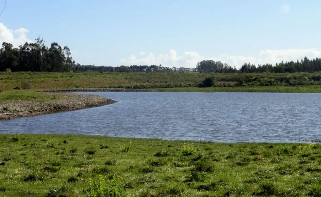 VENTA 52 HECTAREAS ZONA RURAL LA BARRA APTA P/FRACCIONAMIENT — foto 5
