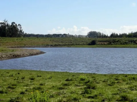 VENTA 52 HECTAREAS ZONA RURAL LA BARRA APTA P/FRACCIONAMIENT — foto 5