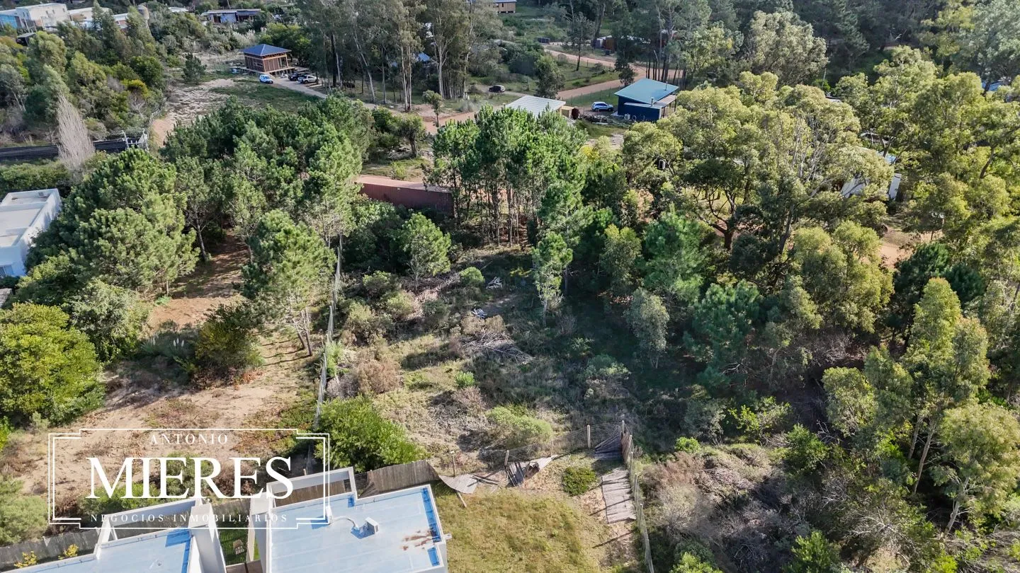 Lote | Iris — foto 4