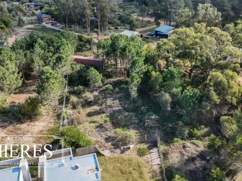 Lote | Iris — foto 4