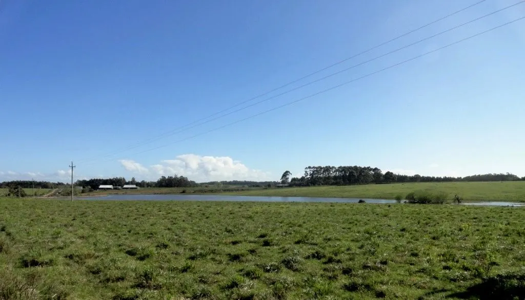VENTA 52 HECTAREAS ZONA RURAL LA BARRA APTA P/FRACCIONAMIENT — foto 6