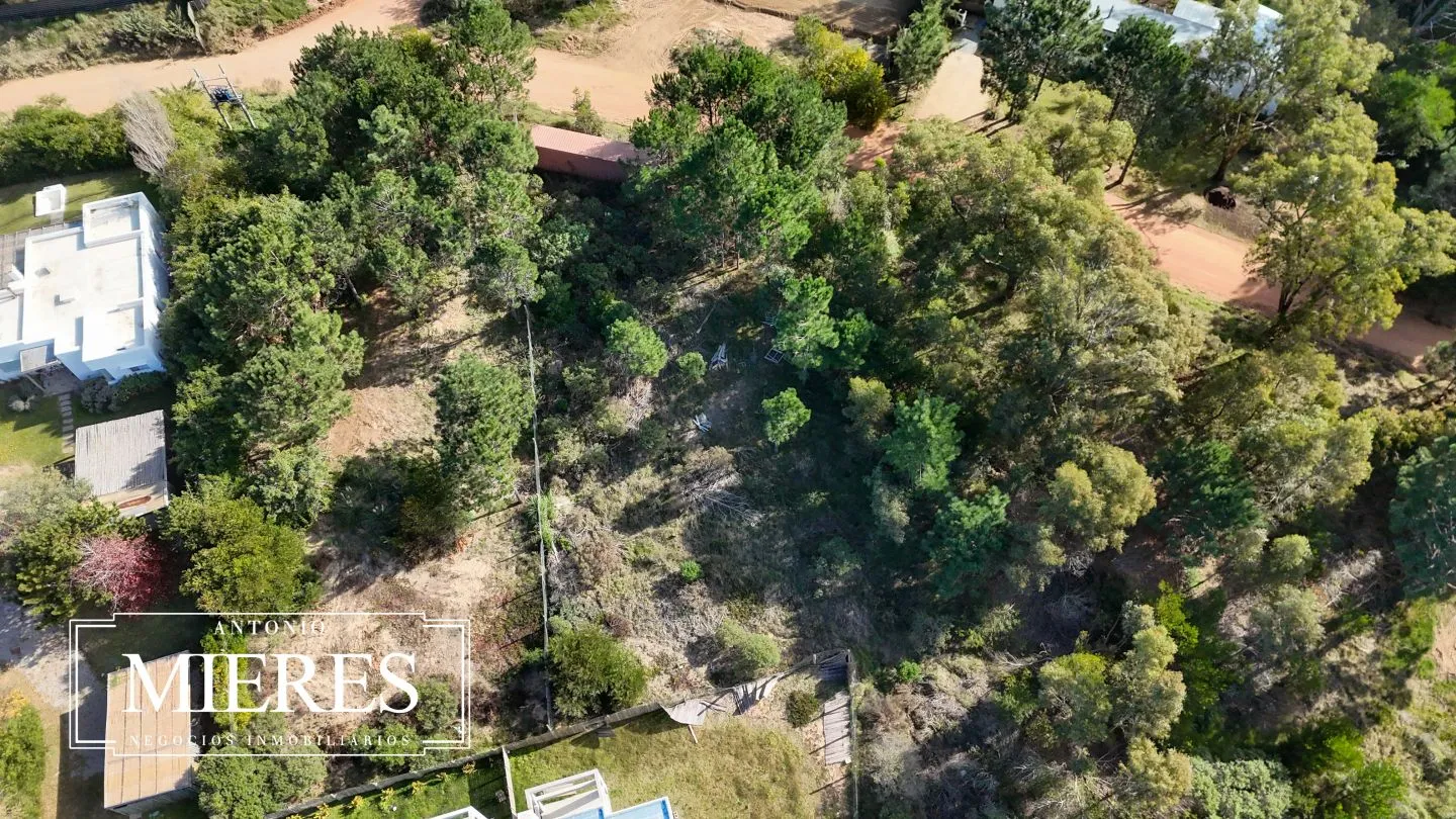 Lote | Iris — foto 5