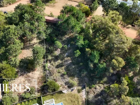 Lote | Iris — foto 5