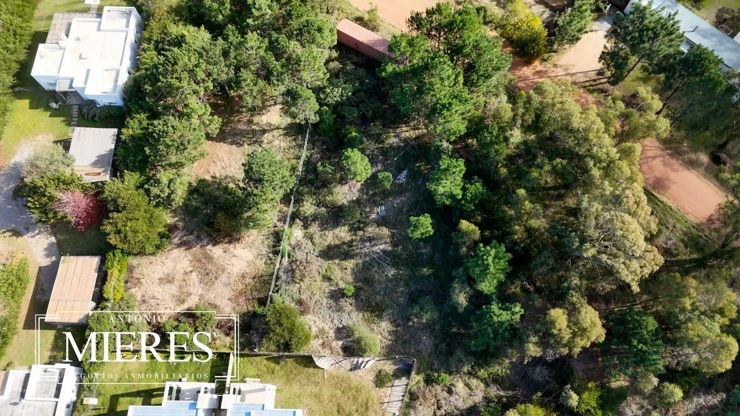Lote | Iris — foto 6