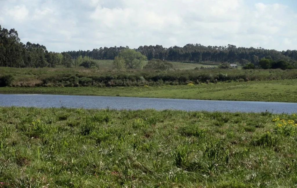 VENTA 52 HECTAREAS ZONA RURAL LA BARRA APTA P/FRACCIONAMIENT — foto 9