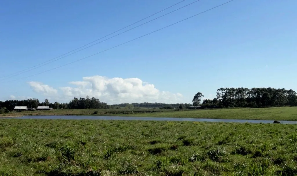 VENTA 52 HECTAREAS ZONA RURAL LA BARRA APTA P/FRACCIONAMIENT — foto 10