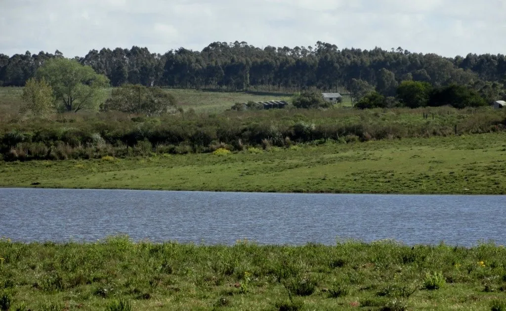 VENTA 52 HECTAREAS ZONA RURAL LA BARRA APTA P/FRACCIONAMIENT — foto 11