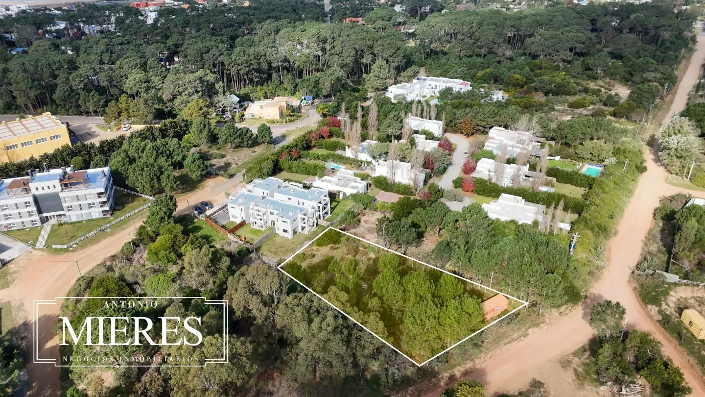 Lote | Iris — foto 10