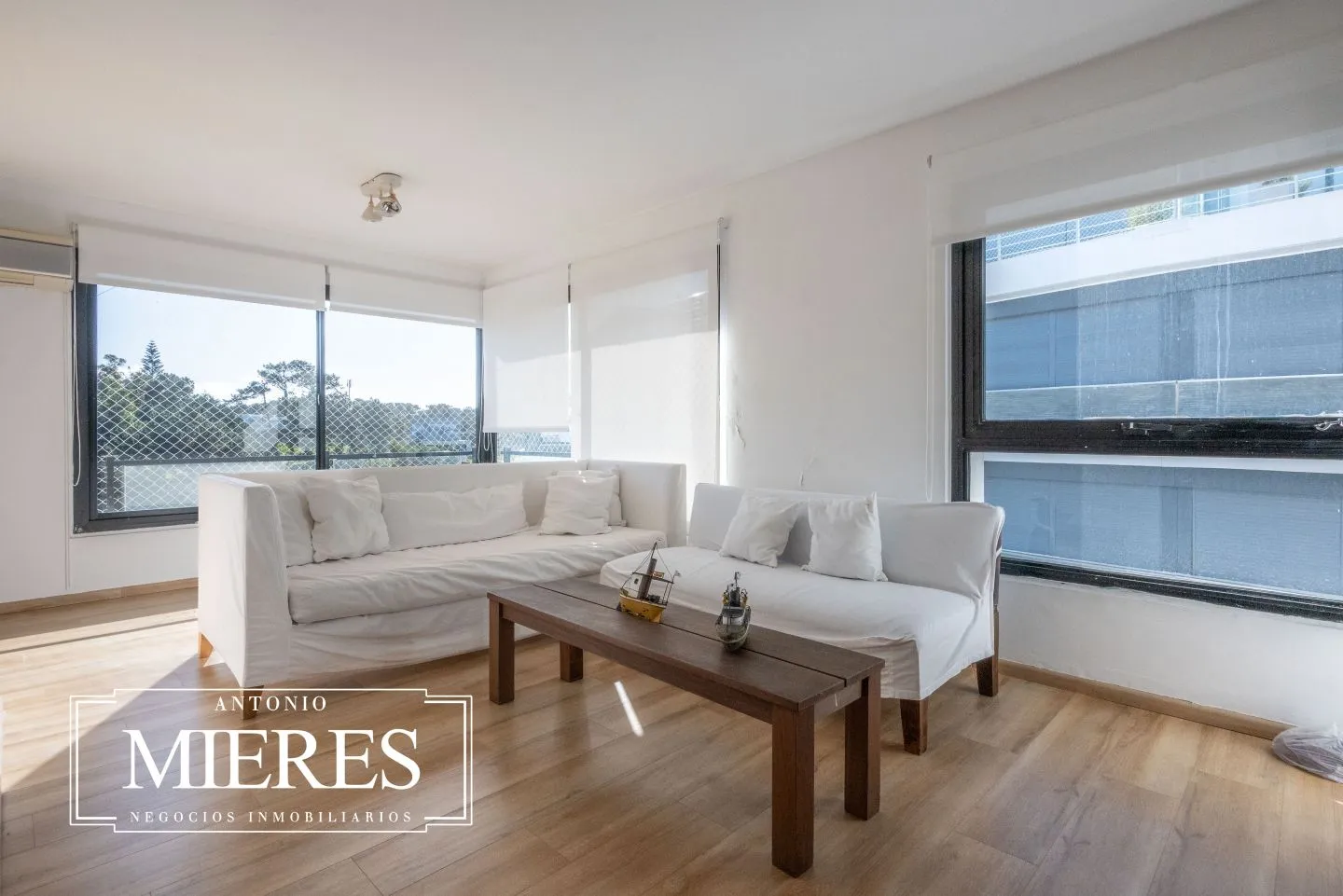 Venta apartamento 3 dormitorios - Playa Brava — foto 2