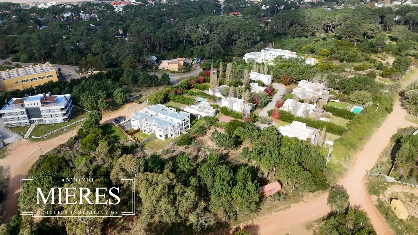 Lote | Iris — foto 11