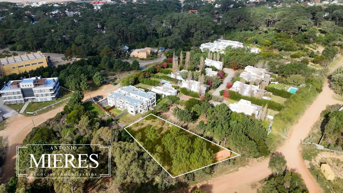 Lote | Iris — foto 12