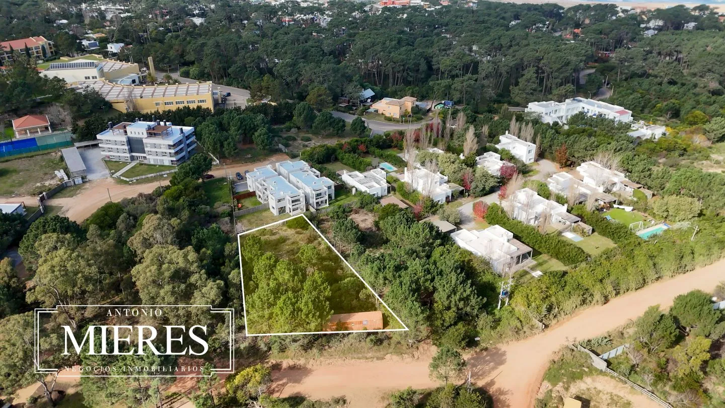 Lote | Iris — foto 14
