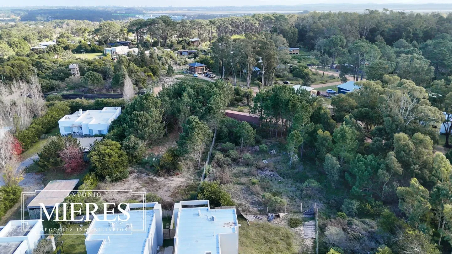 Lote | Iris — foto 19
