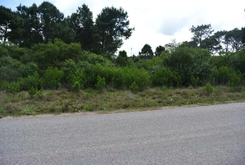 Venta lote - Club del Lago — foto 1