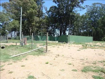 Venta Lote Solanas - Punta Ballena — foto 2