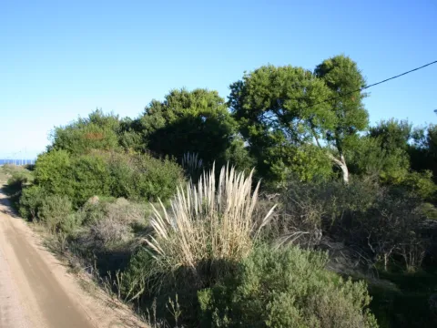TERRENO EN VENTA 450 M2 BALNEARIO BS AS A PASOS DE LA PLAYA — foto 2