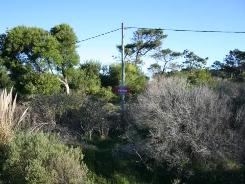 TERRENO EN VENTA 450 M2 BALNEARIO BS AS A PASOS DE LA PLAYA — foto 4