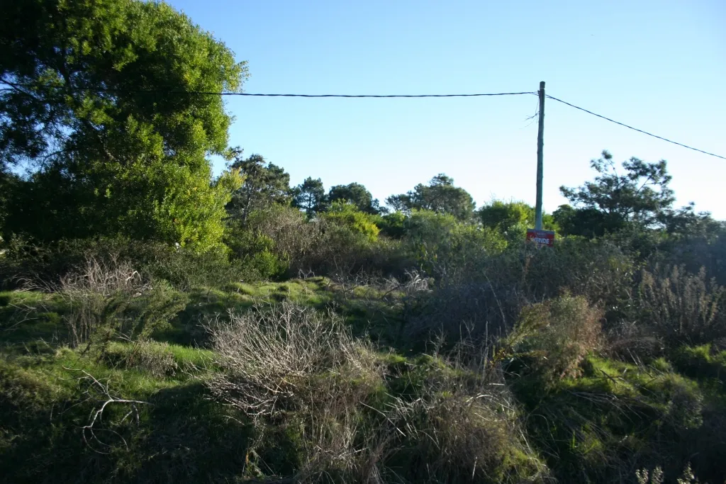 TERRENO EN VENTA 450 M2 BALNEARIO BS AS A PASOS DE LA PLAYA — foto 5