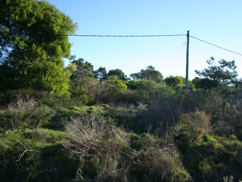 TERRENO EN VENTA 450 M2 BALNEARIO BS AS A PASOS DE LA PLAYA — foto 5