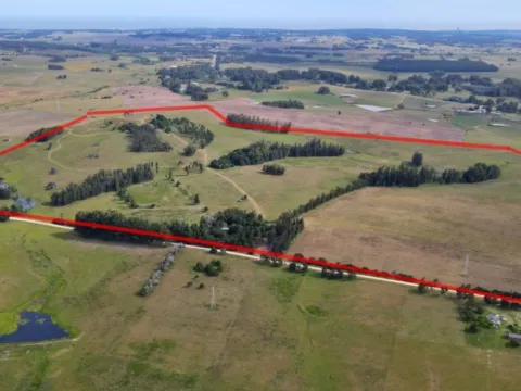 VENTA 100 HECTAREAS EN ZONA ALEDAÑA A RUTA 104 MANANTIALES — foto 2