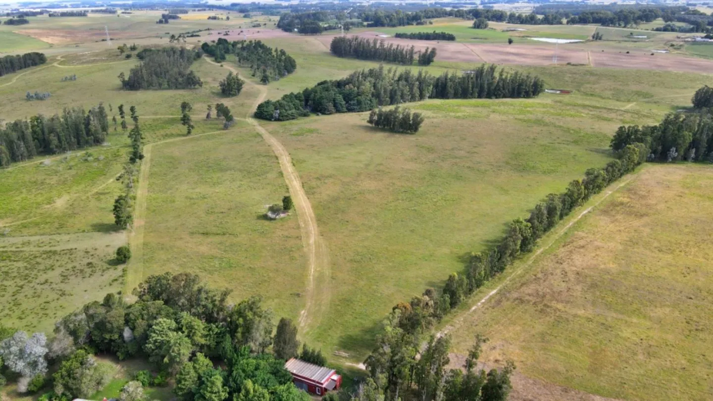 VENTA 100 HECTAREAS EN ZONA ALEDAÑA A RUTA 104 MANANTIALES — foto 13